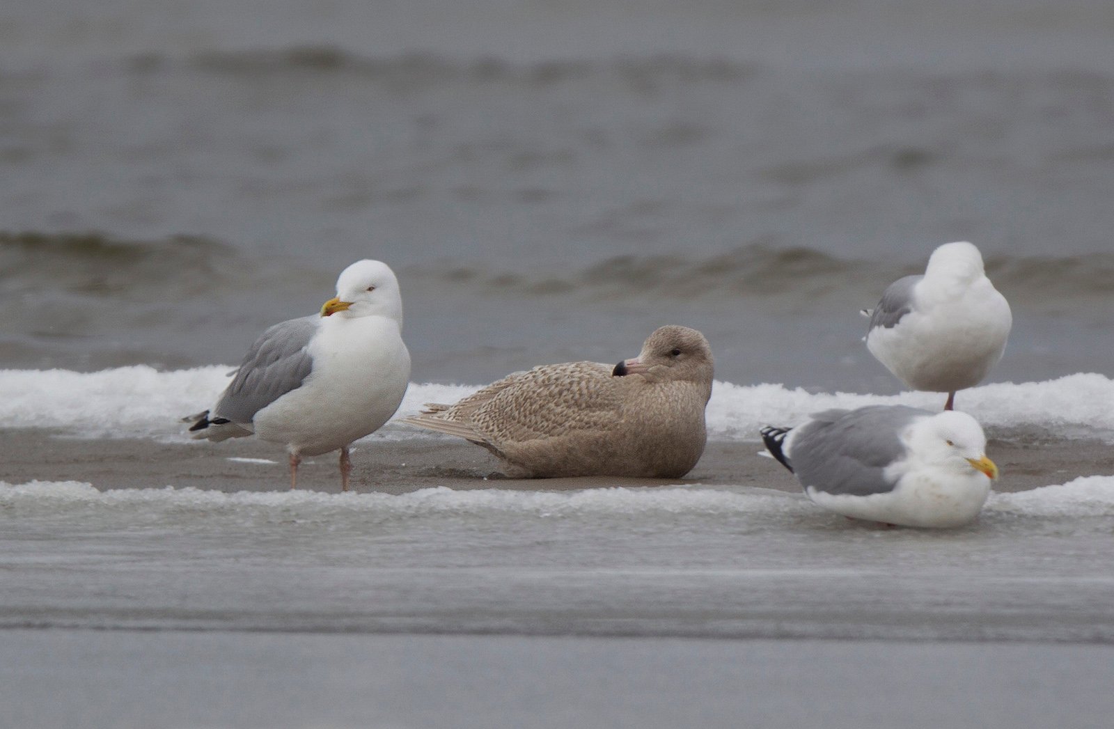 MAR_35581600.jpg