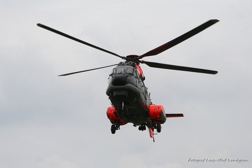 IMG_2974.JPG - SUPER PUMA